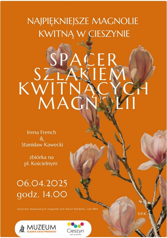 Plakat informuje o spacerze „Szlakiem kwitnących magnolii” w Cieszynie, zaplanowanym na 6 kwietnia 2025 roku o godz. 14:00. Prowadzenie: Irena French i Stanisław Kawecki. Zbiórka na pl. Kościelnym. Tło w kolorze pomarańczowym zdobią malowane magnolie.