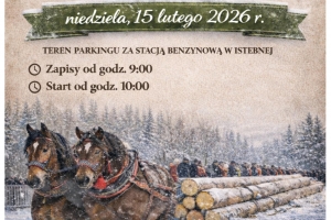 Na plakacie konny zaprzęg, ciągnący ścięte pnie drzew. Zaprzęg składa się z dwóch koni.W tle ośnieżony las oraz widownia.Powyżej informacje tekstowe dotyczące wydarzenia.U dołu loga organizatorów.