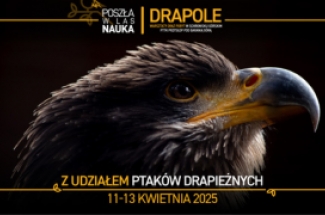 drapole