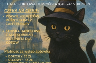 plakat zapraszajacy na wystawe kotow rasowych - grafika na plakacie przedstawia czarnego kota w czarnym kapeleuszu