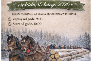 Na plakacie konny zaprzęg, ciągnący ścięte pnie drzew. Zaprzęg składa się z dwóch koni.W tle ośnieżony las oraz widownia.Powyżej informacje tekstowe dotyczące wydarzenia.U dołu loga organizatorów.